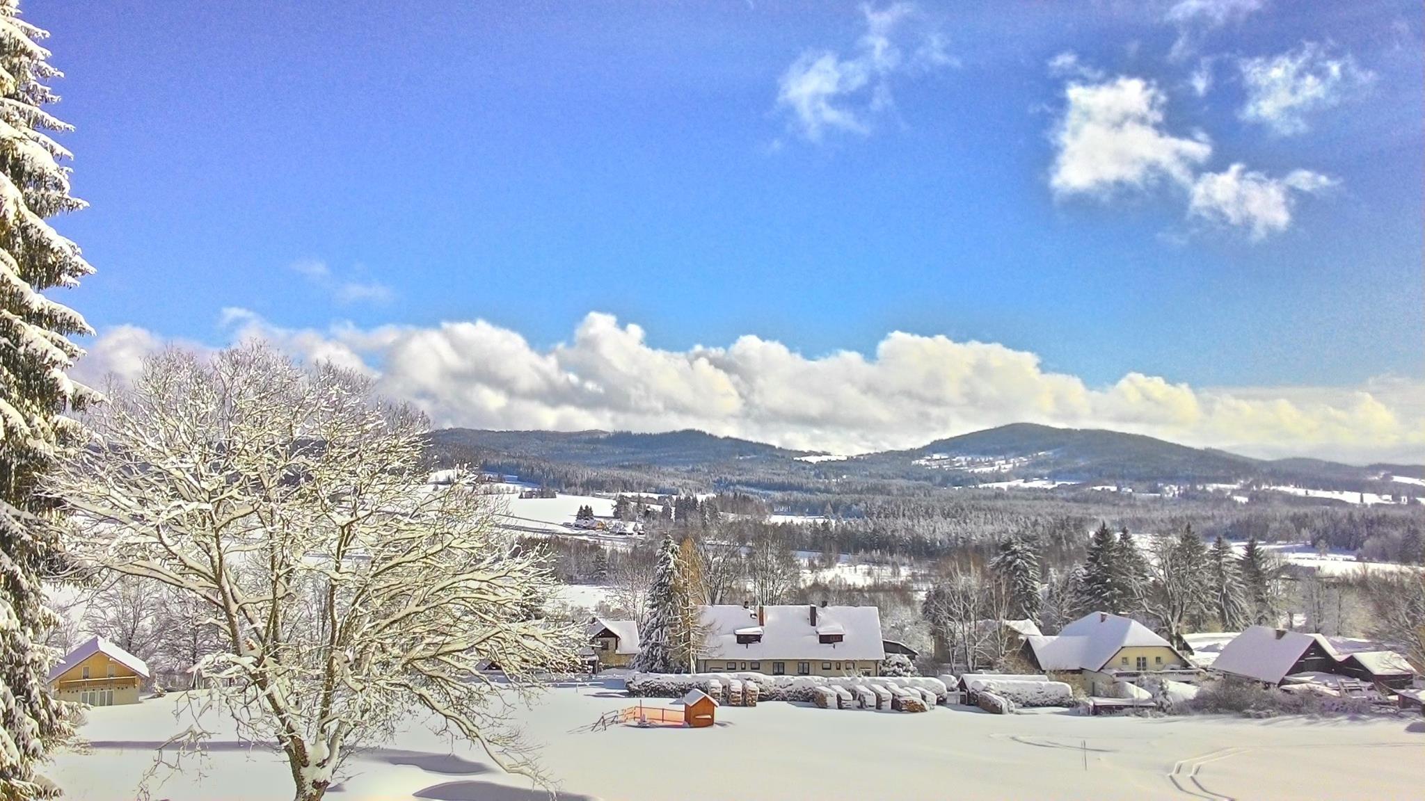 strazny (3)