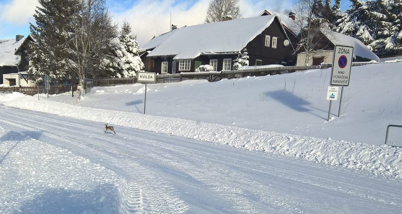 kvilda