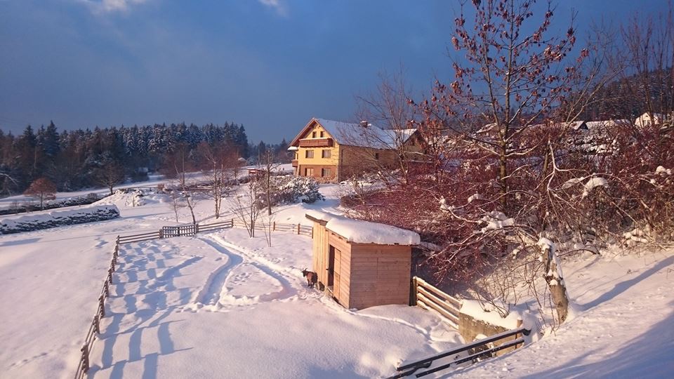 javornik