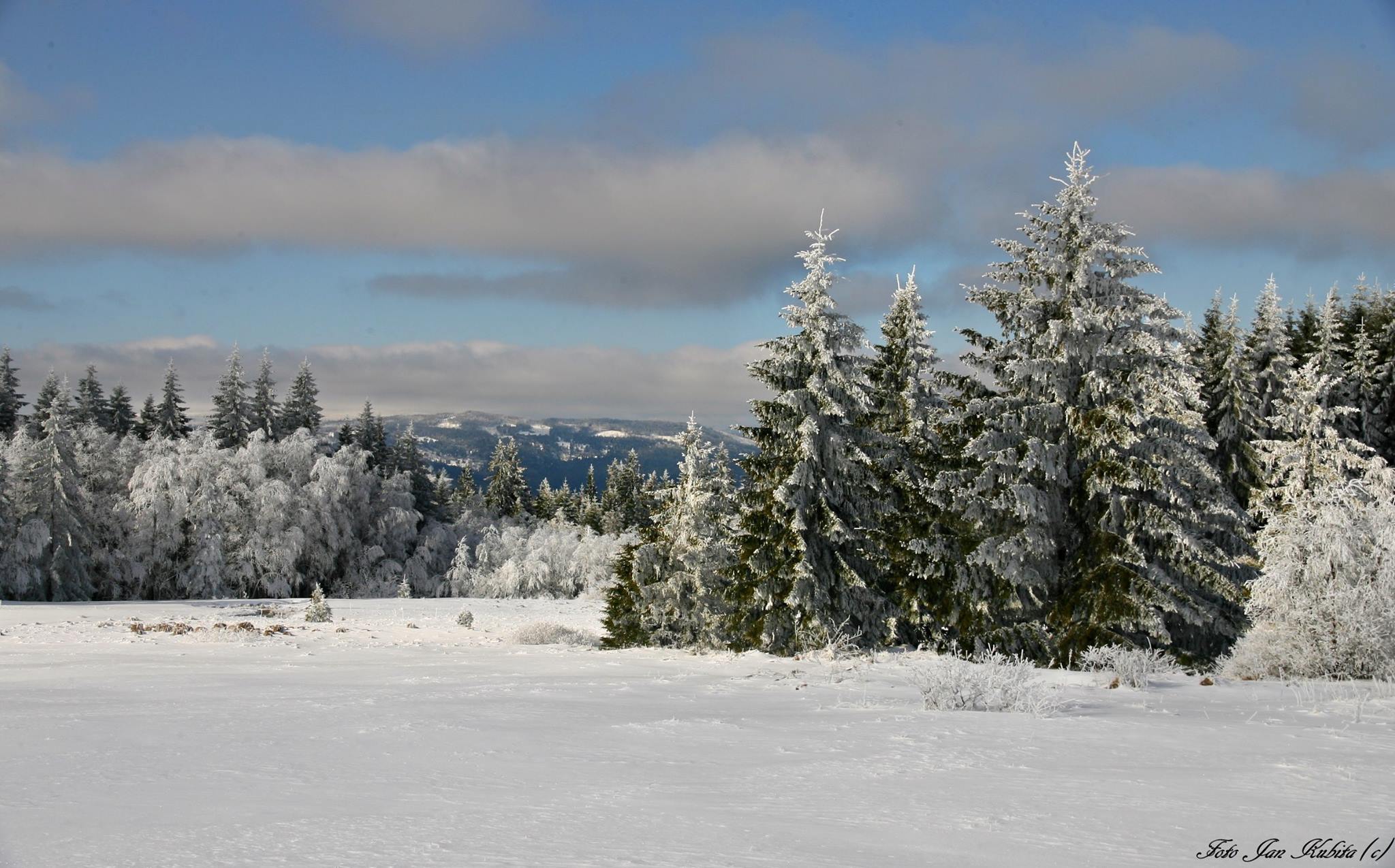 sumava kubita