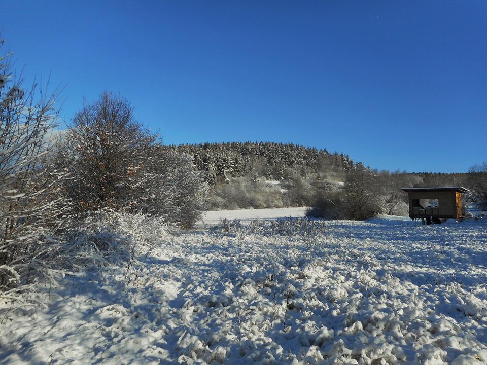 budilov