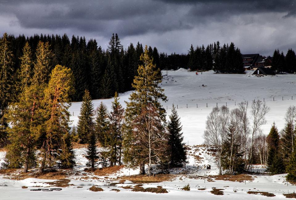 Z Horské Kvildy - jaro se blíží sumava sklenar