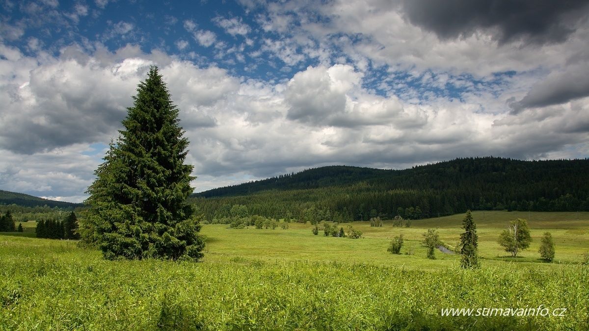 Březová Lada, údolí Teplé Vltavy