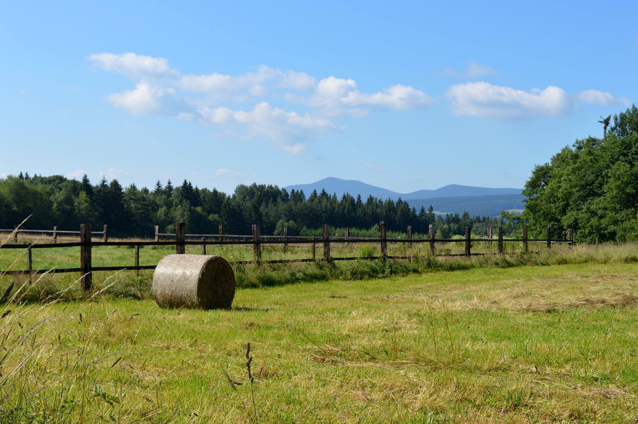 lsteni