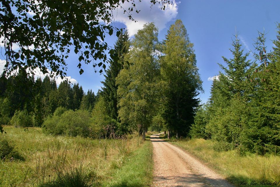 u stožce jk